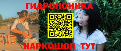 СК Славгород