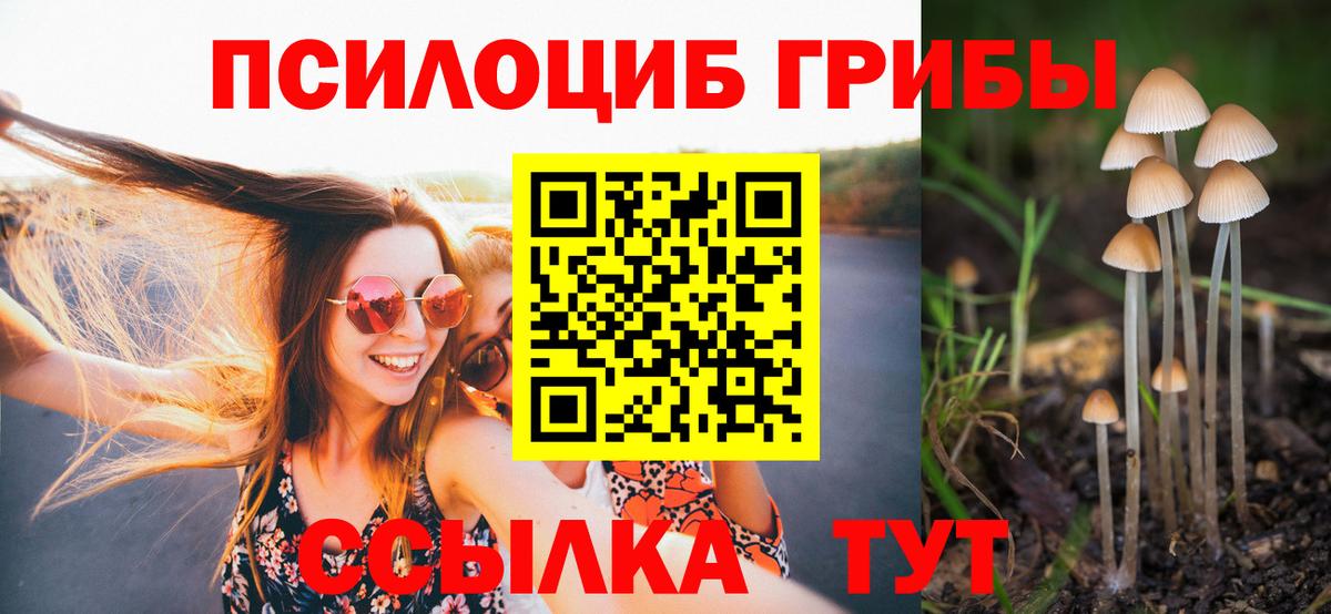 Псилоцибиновые грибы Psilocybe Ханты-Мансийск
